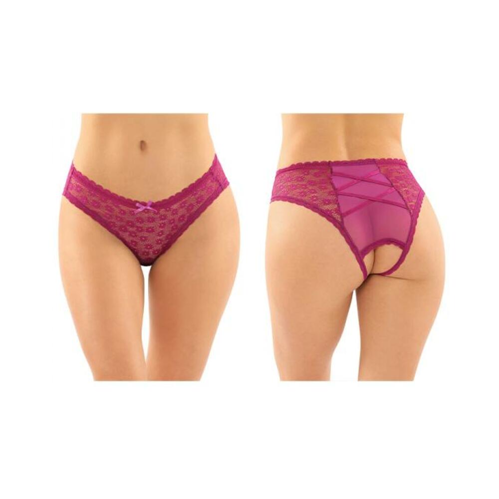 Daisy Crotchless Lace And Mesh Panty With Criss-cross Panel Back 6-pack S/m Berry