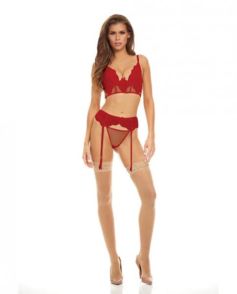 Bombshell Boudoir Lace &amp; Mesh Peek A Boo Wire Bra, Garter Belt &amp; G-string Red Md
