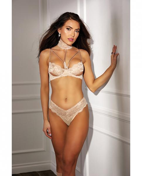 Absolutely Beautiful Stretch Lace Collard Bra &amp; Panty (goes W/soh31549) Nude 38