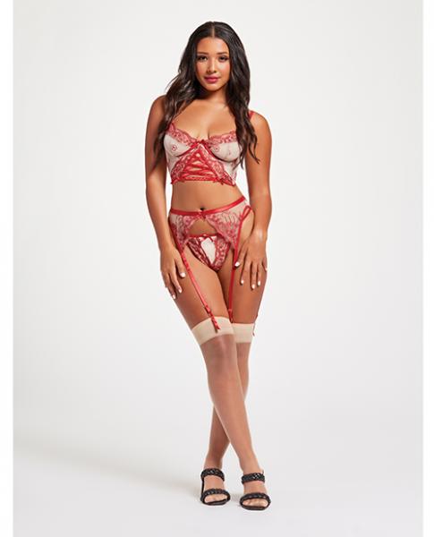 Sheer Stretch Mesh W/floral Contrast Embroidery Bustier, Garter Belt &amp; Thong Red/nude Sm