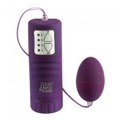 Waterproof Pocket Exotics Egg